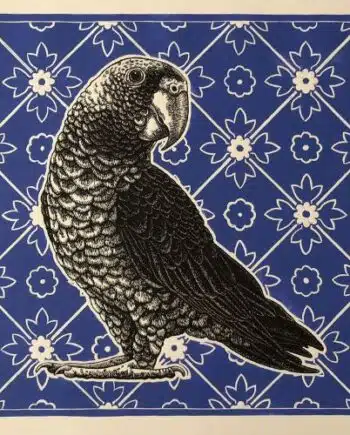 Delft Series - Cape Parrot