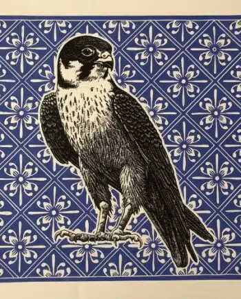 Delft Series - Taita Falcon