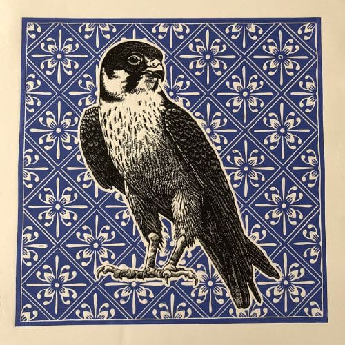 Delft Series - Taita Falcon
