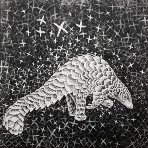 Pangolin Dreamtime