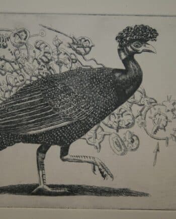 Crested Guineafowl On A Mission (Framed)