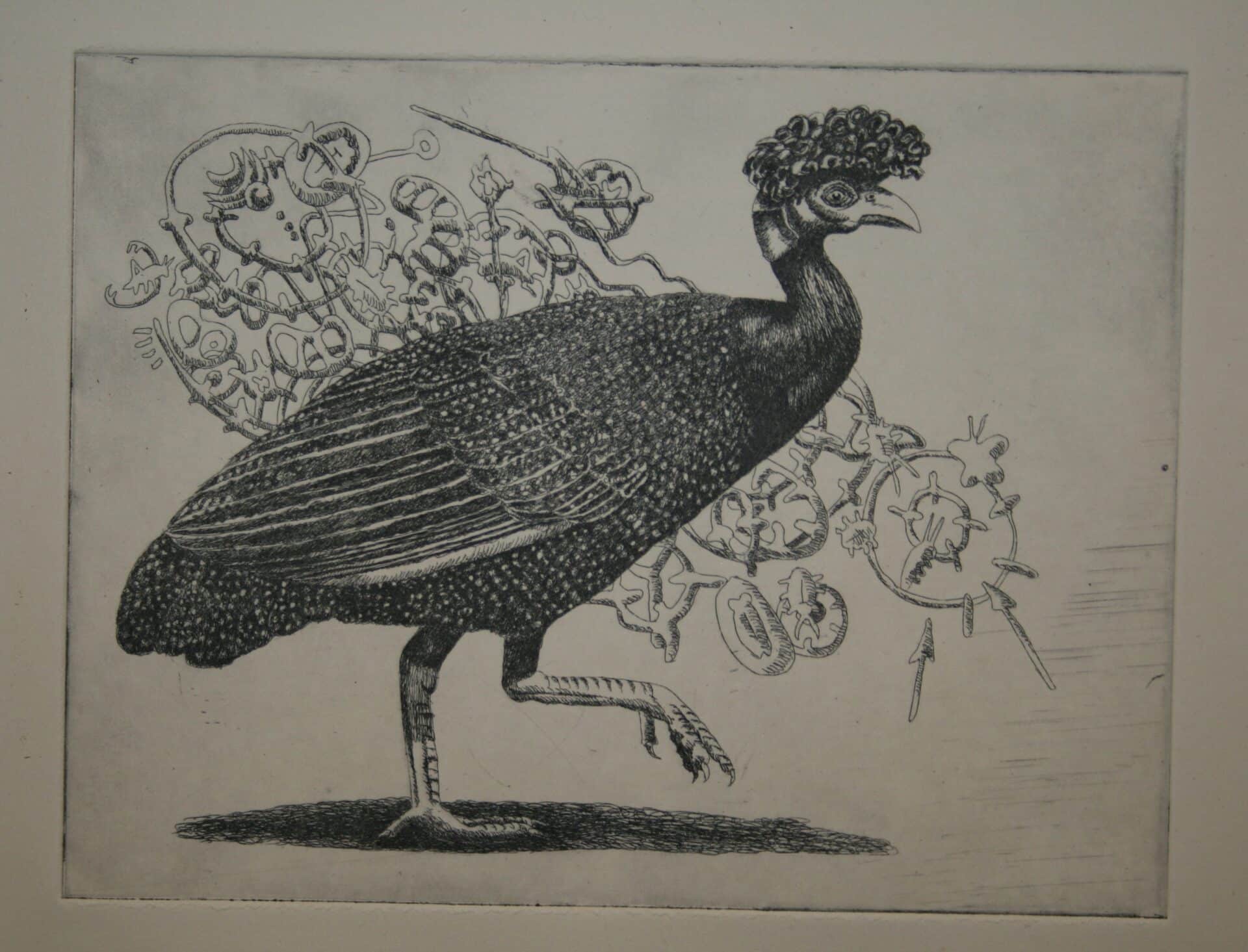 Crested Guineafowl On A Mission (Framed)