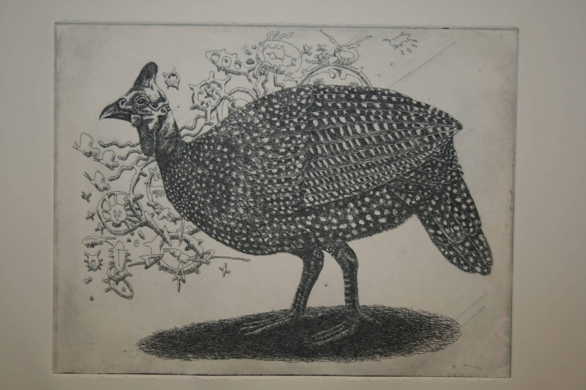 Helmeted Guineafowl: Not Quite Mission Impossible (Framed)