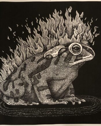Light Toad Series: Fire Toad
