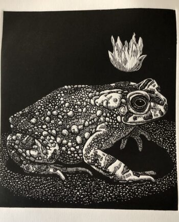 Light Toad Series: Lighting the Way