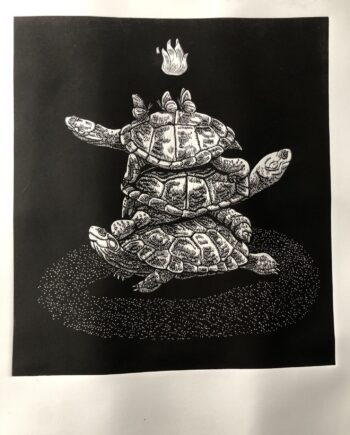 Light Toad Series: Lucky Terrapins