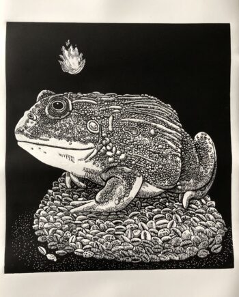 Light Toad Series: Wealthy Bullfrog