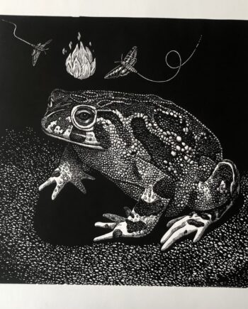 Light Toad Series: Attracting Your People