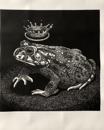 Light Toad Series: Water Crown