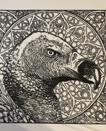 Icon Series - Vulture (Framed)