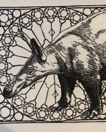 Icon Series - Aardvark