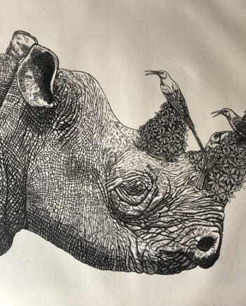 Black Rhino and Sunbirds