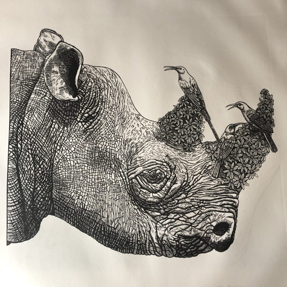 Black Rhino and Sunbirds