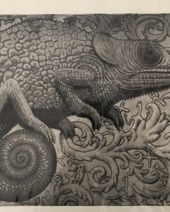 Chameleon Tales (Framed)