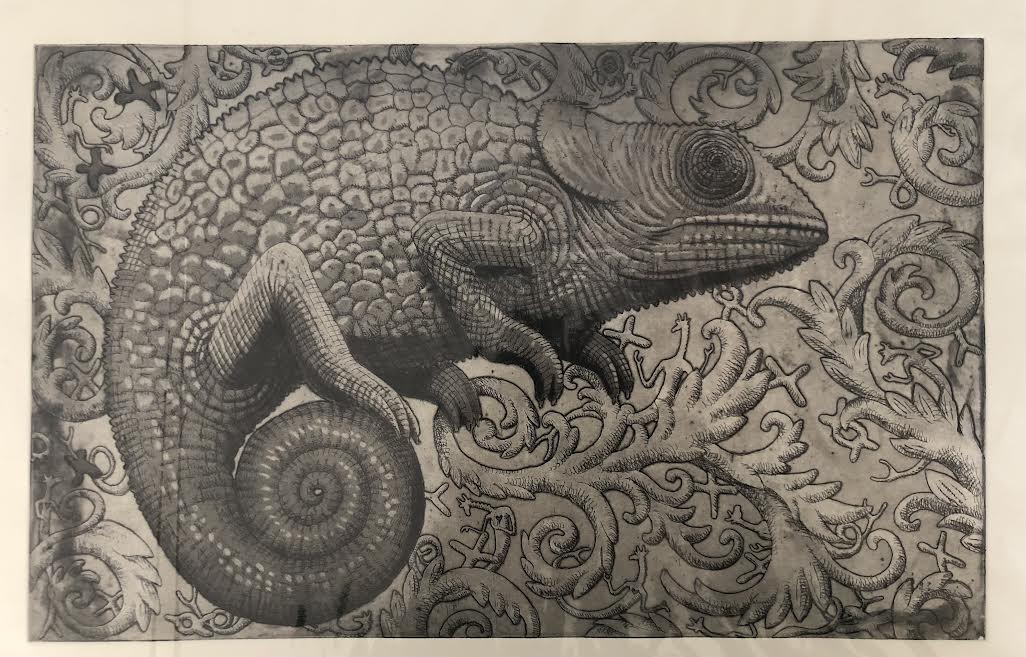 Chameleon Tales (Framed)