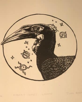 Hornbill Series : Ground Hornbill