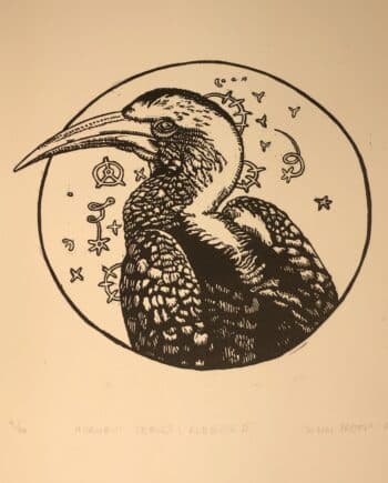 Hornbill Series : Redbilled Hornbill