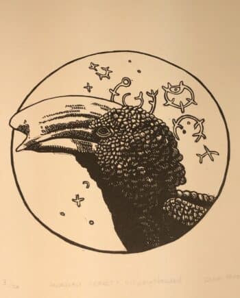 Hornbill Series : Silvery Cheeked Hornbill