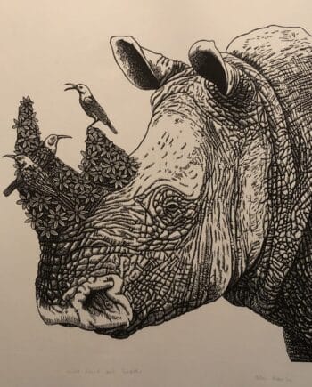 White Rhino and Sunbirds